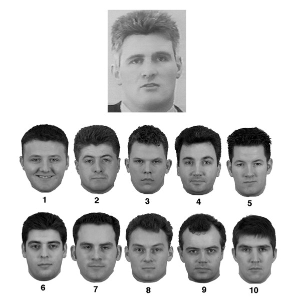 Verification of face identities from images captured on video