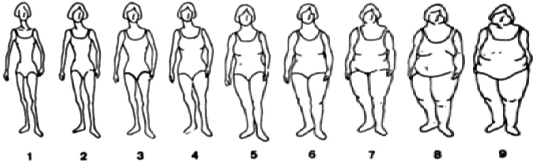 До скольки формируется человек. Возрастные изменения фигуры. Возрастные изменения фигуры женщин. Изменение телосложения с возрастом. Изменение фигуры по возрасту.